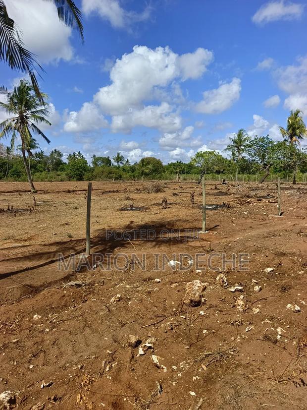 Rafiki 4 Extension 50x100ft Prime Plots for Sale!