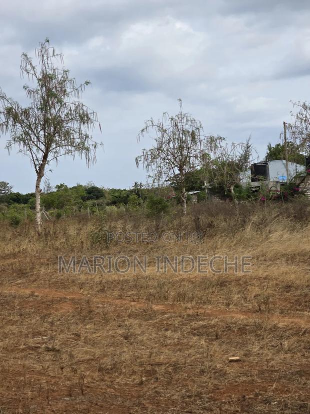 Kilifi Fedha Estate 50x100ft Plots for Sale