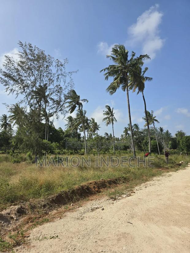 Prime Plots for Sale in Chumani (1/8th Acre)