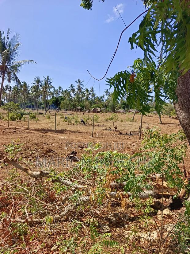 Rafiki 4 Extension 50x100ft Prime Plots for Sale!