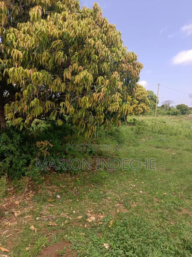 Malindi Kizingo Prime 50*100ft Plots for Sale