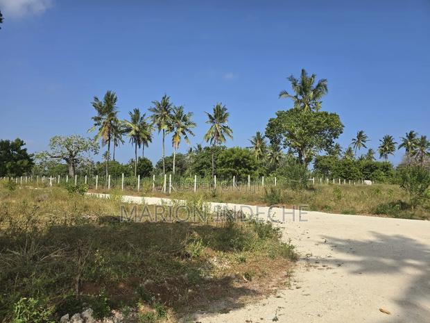 Prime Plots for Sale in Chumani (1/8th Acre)