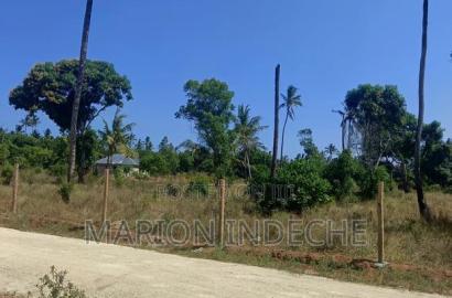 Invest in These 50*100ft Prime Plots for Sale in Kilifi