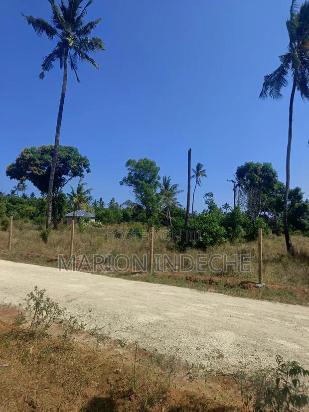 Invest in These 50*100ft Prime Plots for Sale in Kilifi