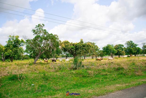Affordable Plots in Malindi