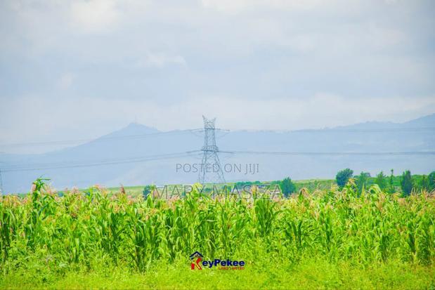 Nakuru Prime Plots