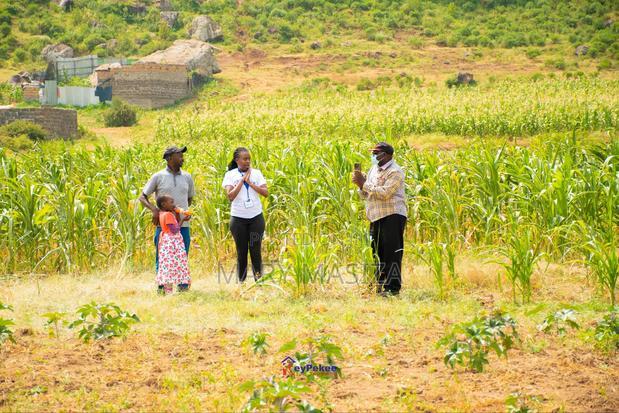 Nakuru Affordable Plots at Kikopey Area