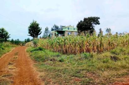 Ruiru Twiga