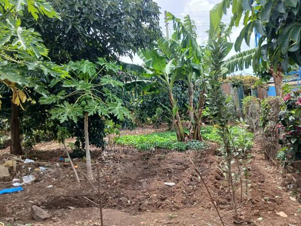 Plot for Sale