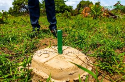 Diani Muhaka 50*100 Plots for Sale