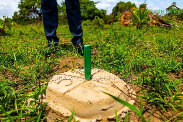 Diani Muhaka 50*100 Plots for Sale