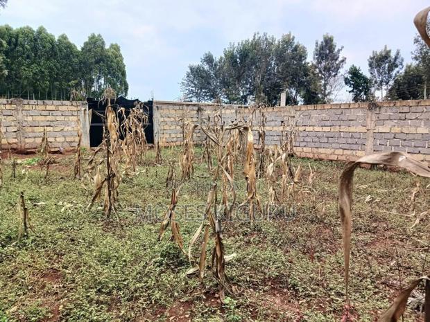 Mugutha 40x80 Plot With Perimeter Wall.