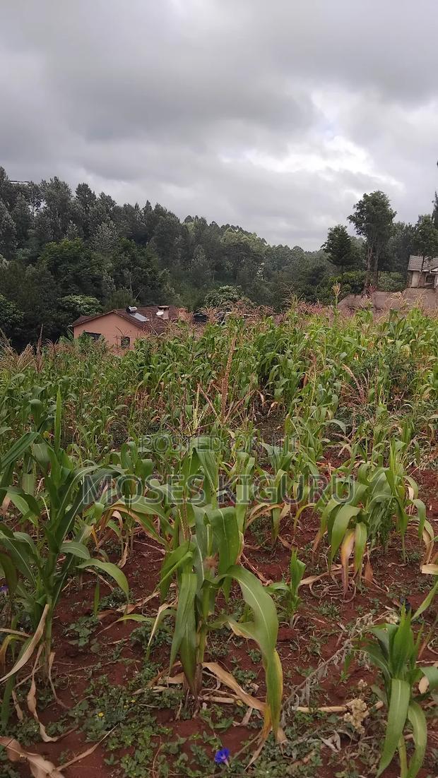 Kitisuru 4 Acres
