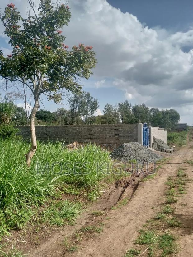 Karibaribi, 50x100 Plot.