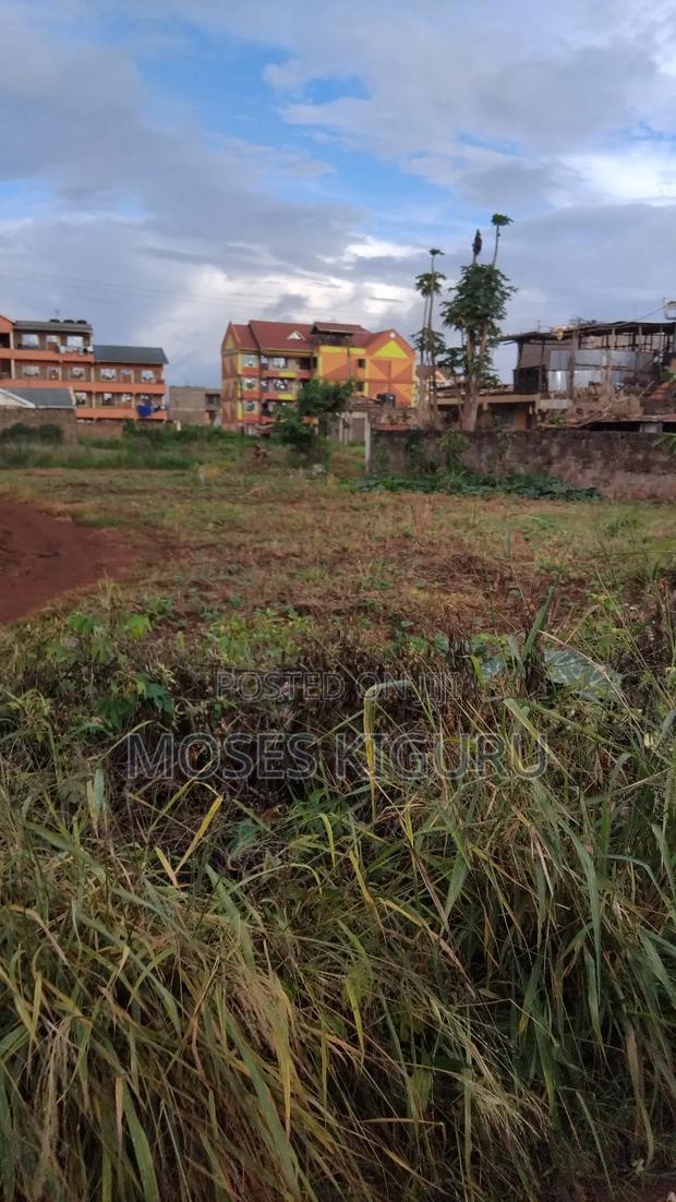 Thika Nanasi Estate 40x80 Plots.