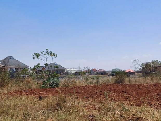 Tola 40X80 Plots.