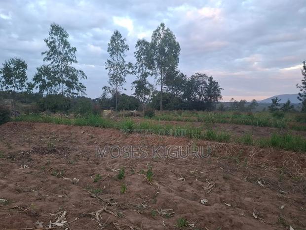 Mananja, 50x100 Plots.