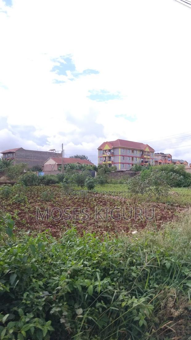 Thika Nanasi Estate 40x80 Plots.