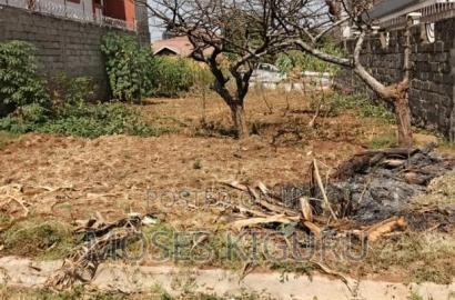 Kenyatta Road 40x80 Plot.