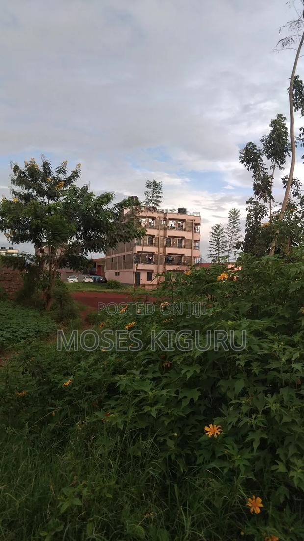 Thika Nanasi Estate 40x80 Plots.