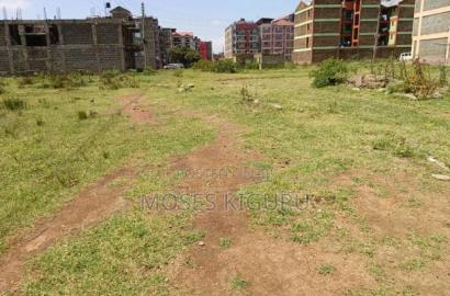 THIKA, Jomoko 40x80 Plot.