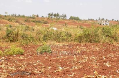 Kangema Farms 50x100 Plots.
