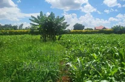 Mugutha Prime 40x80 Plots.