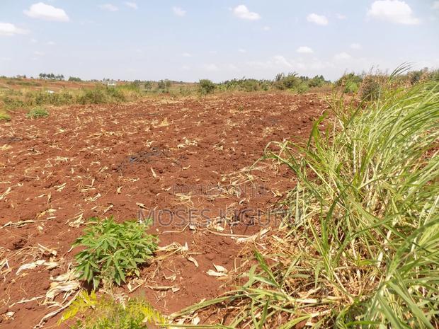 Kangema Farms 50x100 Plots.