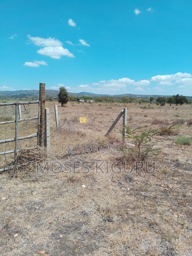 Konza 50x100 Plots