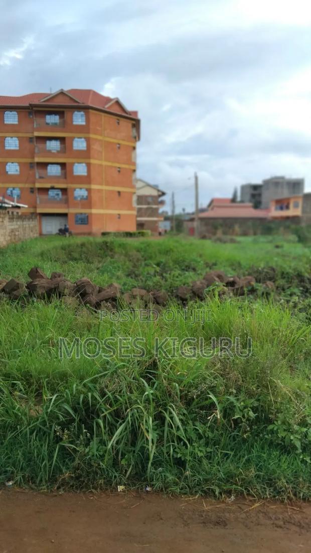 Thika Nanasi Estate 40x80 Plots.