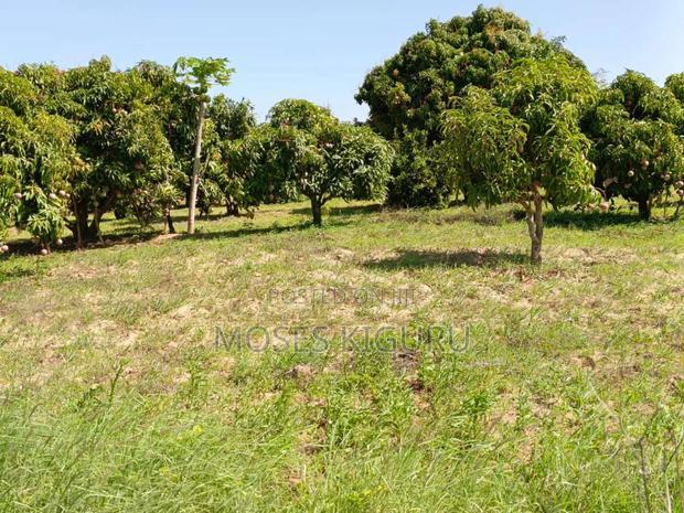 Matuu 50X100 Plots.