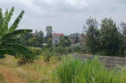 Ruiru, Mugutha 50x100 Plots