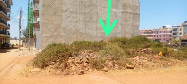 Thika Town 40x80 Plots.