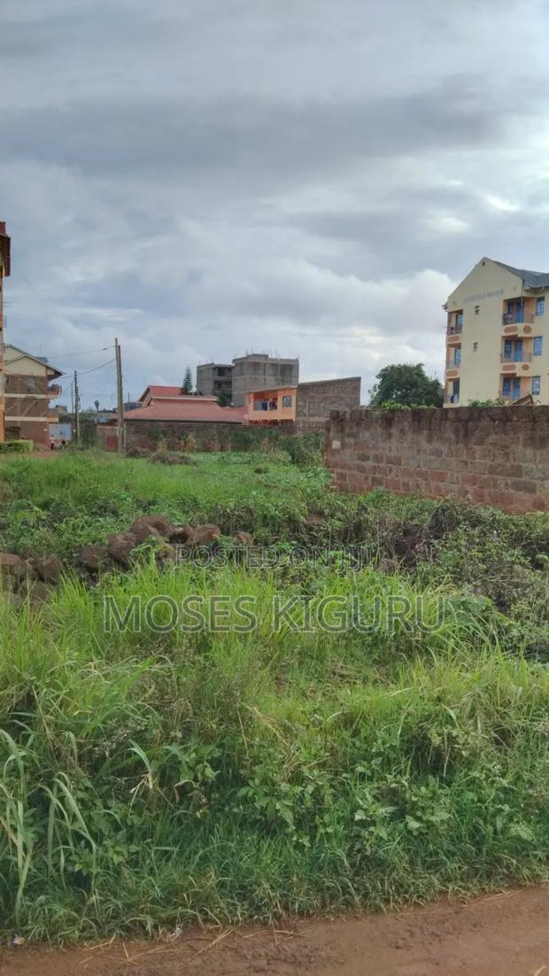 Thika Nanasi Estate 40x80 Plots.