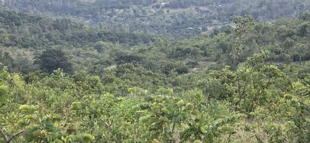 Makuyu 24 Acres for Sale.