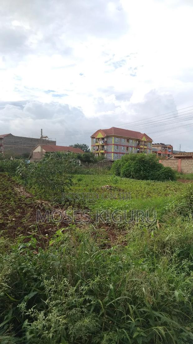 Thika Nanasi Estate 40x80 Plots.
