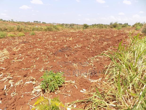 Kangema Farms 50x100 Plots.