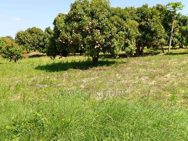 Matuu 50X100 Plots.