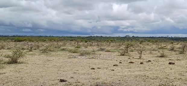 Mwalimu Farm 6 Acres.