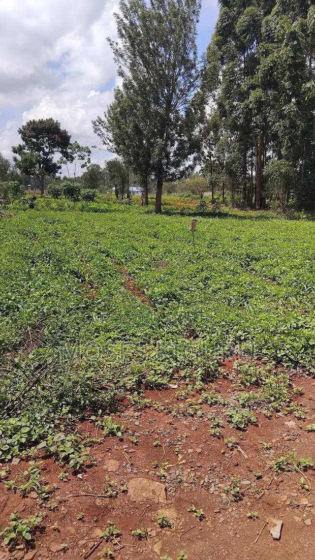Croton Ridge, 50x100 Plots.