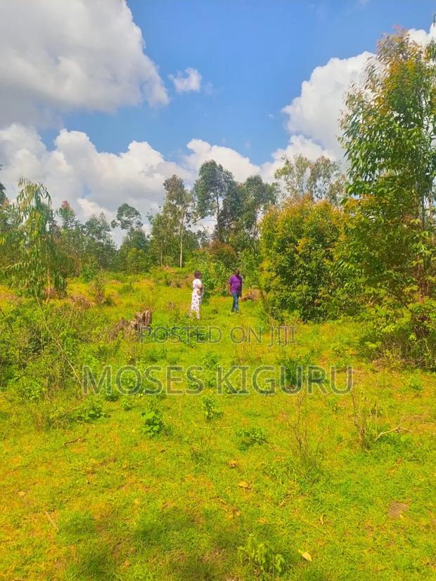Kabati 50x100 Plots
