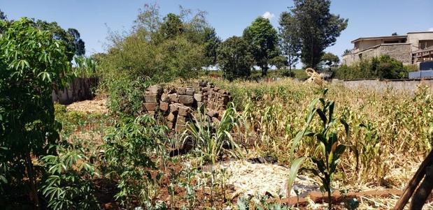 Runda Gardens 1/2 Acre.