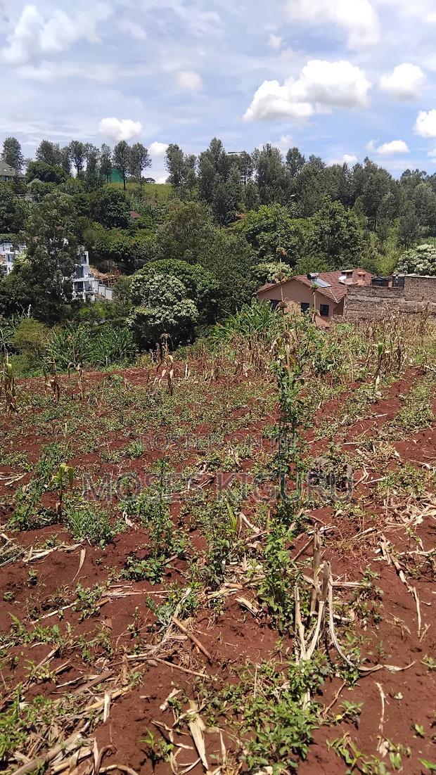 Kitisuru 4 Acres