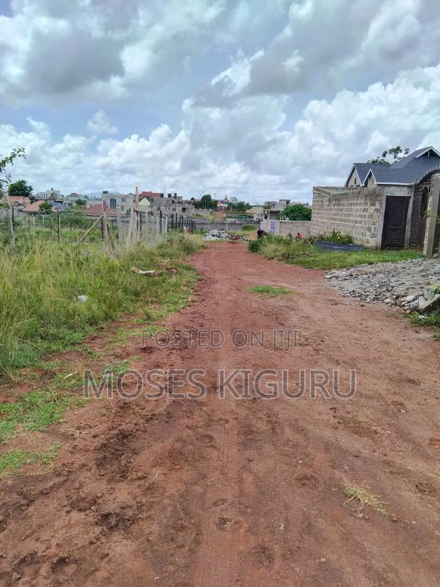 Tola, 50x100 Plots.