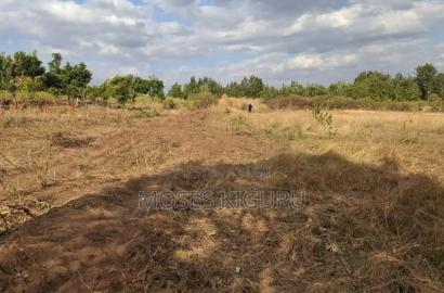 Mananja, 50x100 Plots.