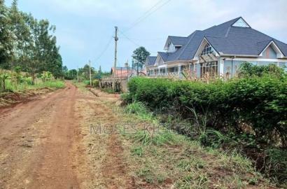 Mugutha 40x80 Plot With Perimeter Wall.