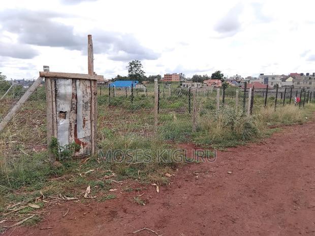 Tola, 50x100 Plots.