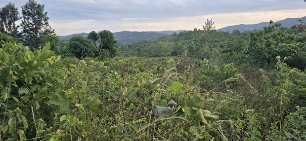 Makuyu 24 Acres for Sale.