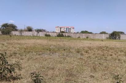 Juja 50X100 Commercial Plots.