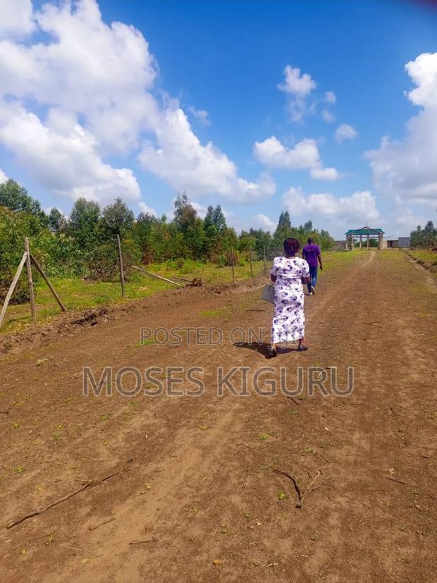Kabati 50x100 Plots